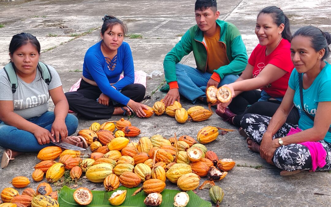 Taller de Procesos Formativos refuerza capacidades de facilitadores y la producción de cacao silvestre