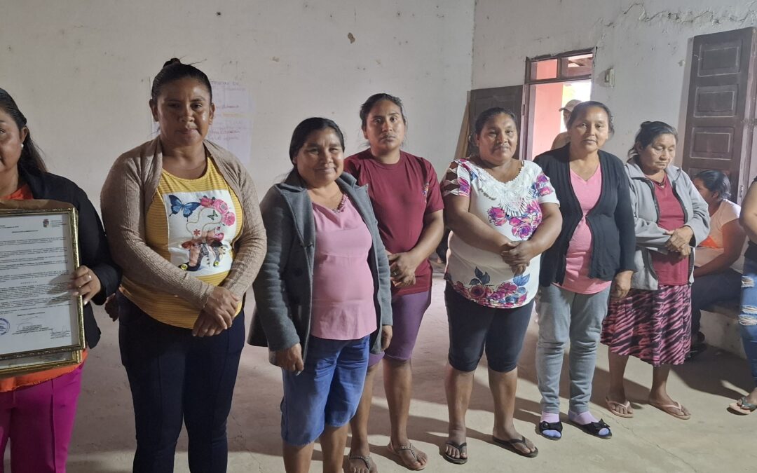 𝗡𝘂𝗲𝘃𝗼𝘀 𝗹𝗶𝗱𝗲𝗿𝗮𝘇𝗴𝗼𝘀 𝗯𝘂𝘀𝗰𝗮𝗻 𝗳𝗼𝗿𝘁𝗮𝗹𝗲𝗰𝗲𝗿 𝗮 𝗹𝗮𝘀 𝗖𝗘𝗠𝗜𝗚 𝗹𝗼𝗰𝗮𝗹𝗲𝘀