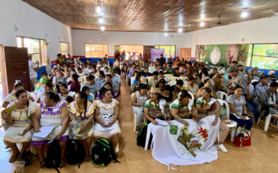 Pre FOSPA Bolivia construye propuestas desde los territorios rumbo al XII Foro Social Panamazónico
