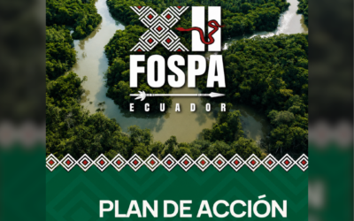 Pueblos amazónicos acuerdan un Plan de Acción para la defensa de sus territorios